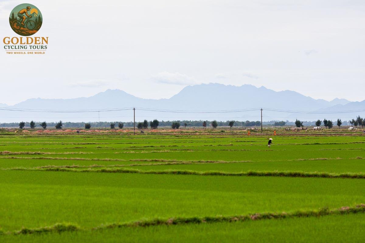 Phuoc Tich Village & Tam Giang Lagoon Full-Day Biking Tour from Hue